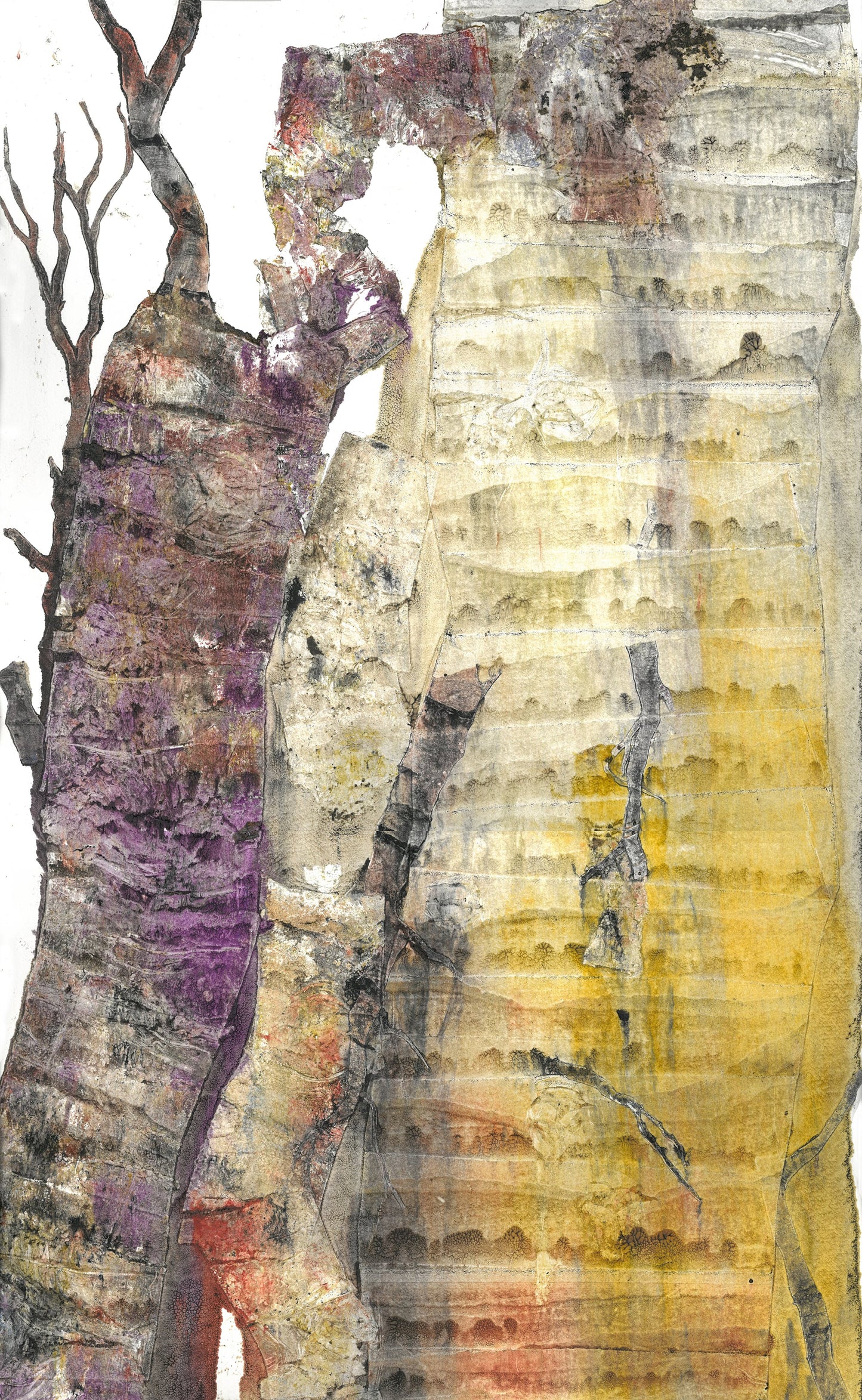 Suite For An Imaginary Forest - Minuetto