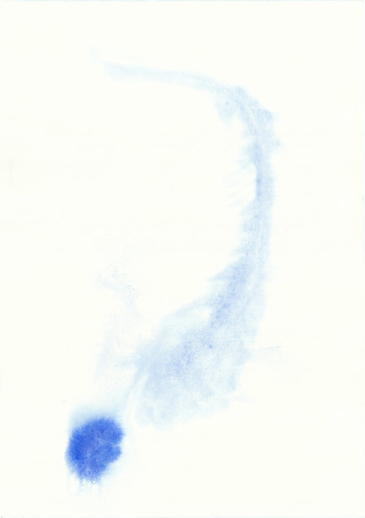 The Lapis Lazuli Variations: 2