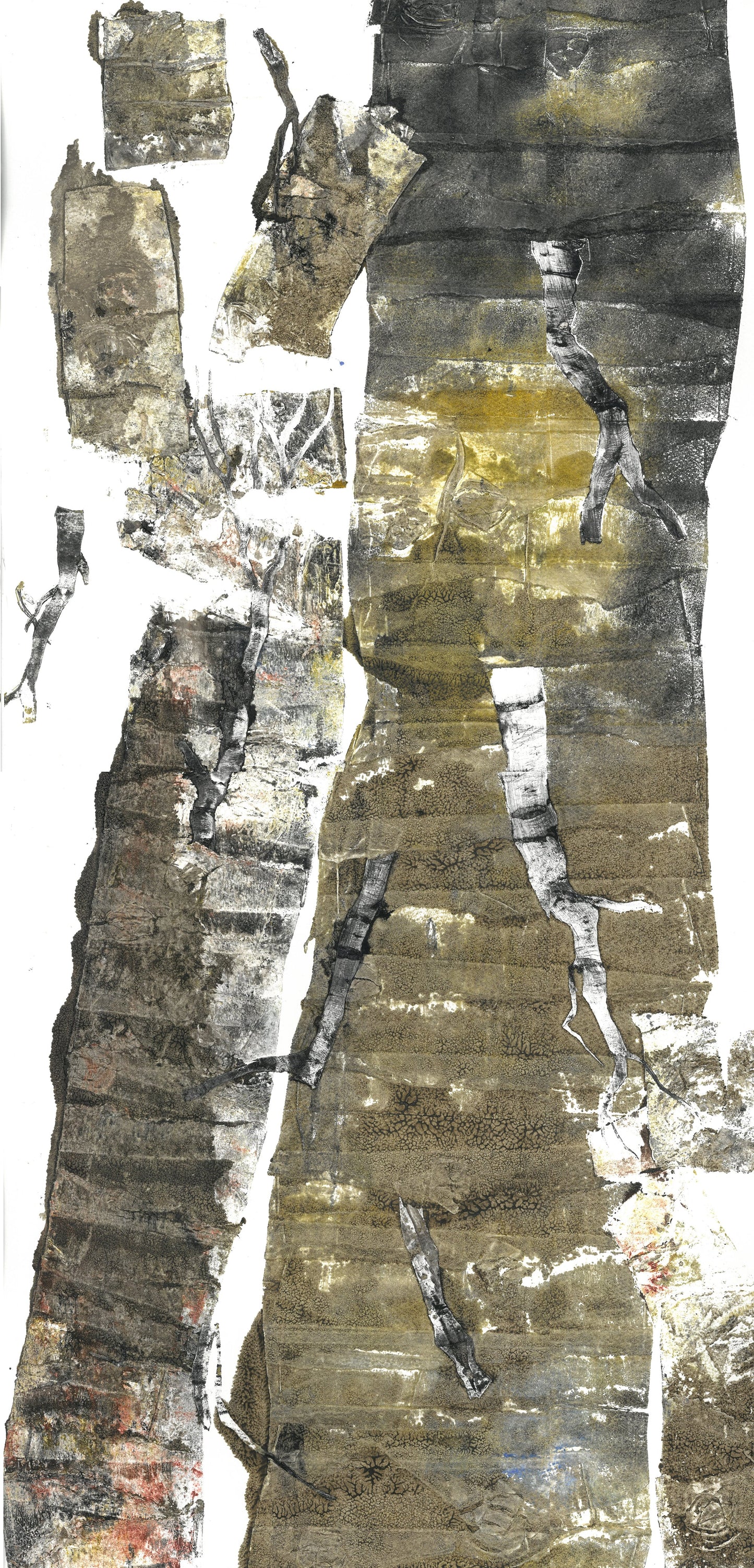 Suite For An Imaginary Forest - Allegro