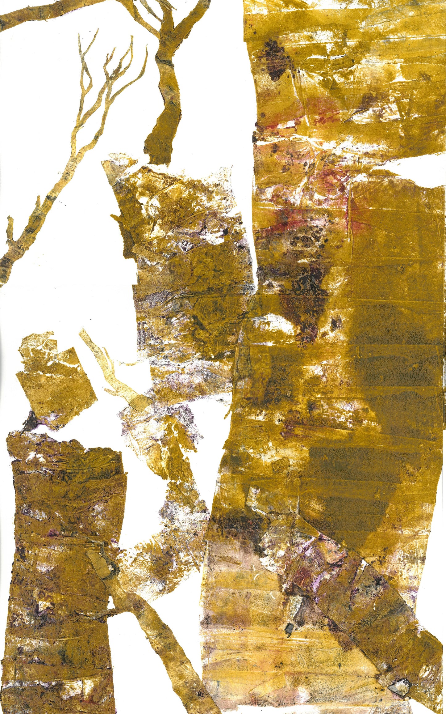 Suite For An Imaginary Forest - Adagio